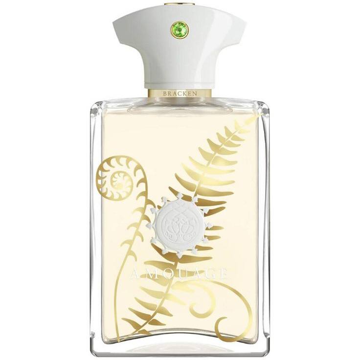 Amouage Bracken Eau De Parfum Spray (100ml)